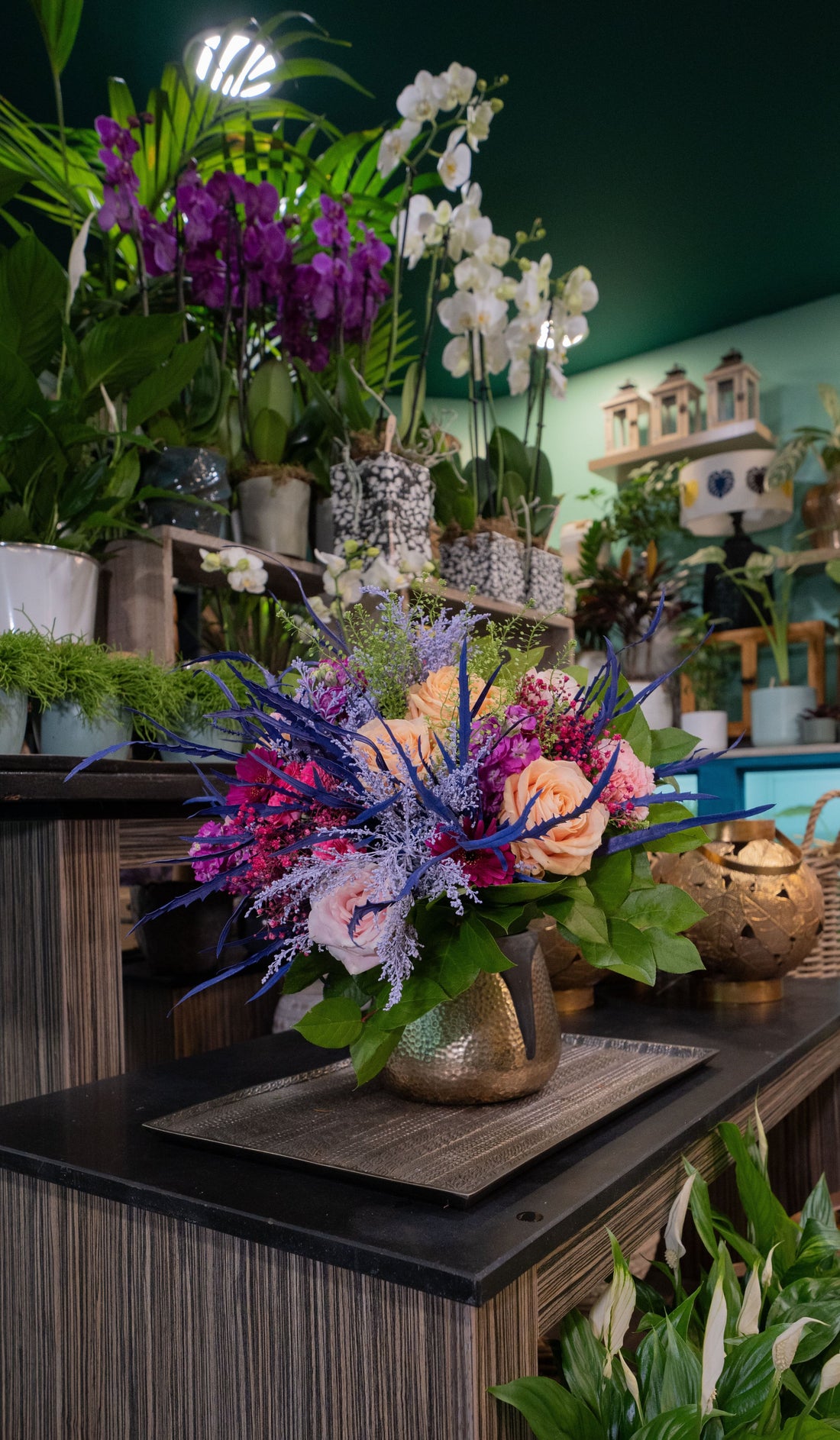 Symphonie de Couleurs