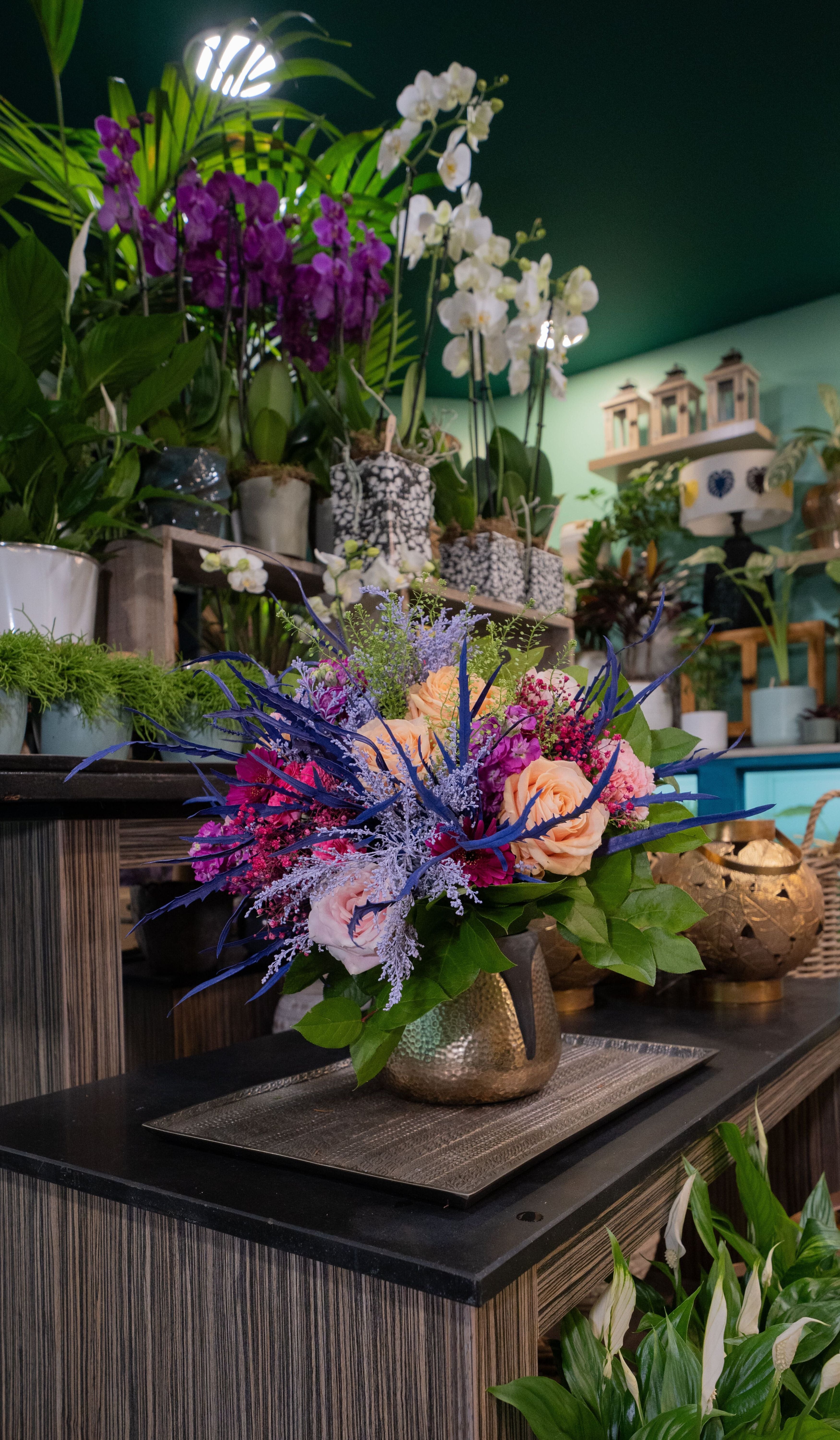 Symphonie de Couleurs