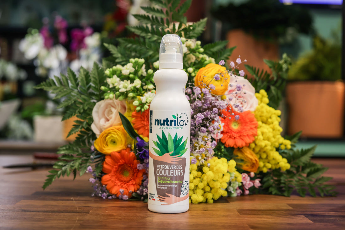 Nutrilove "Retrouver des couleurs"