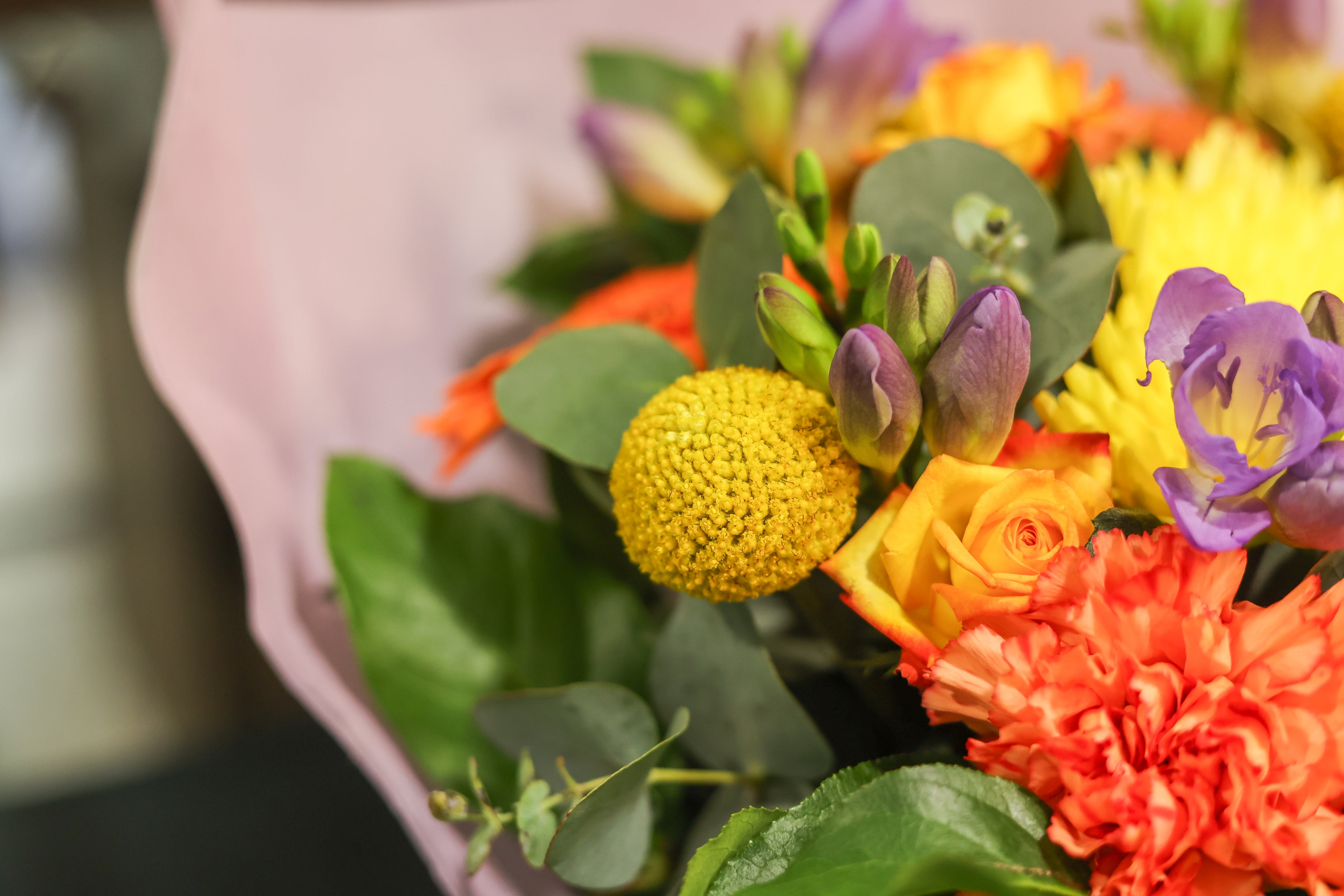 Coffret florale multicolore