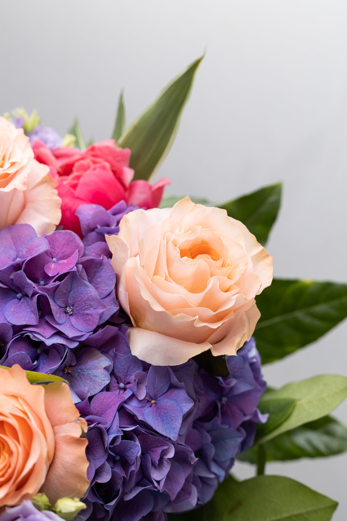 IRISÉE DANS SA WATER BOX