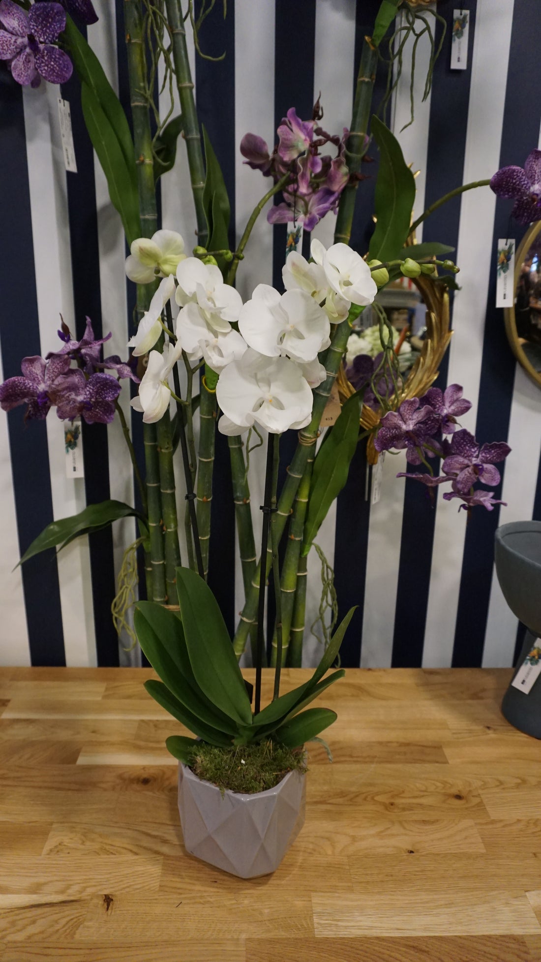 Orchidée blanche et cache pot