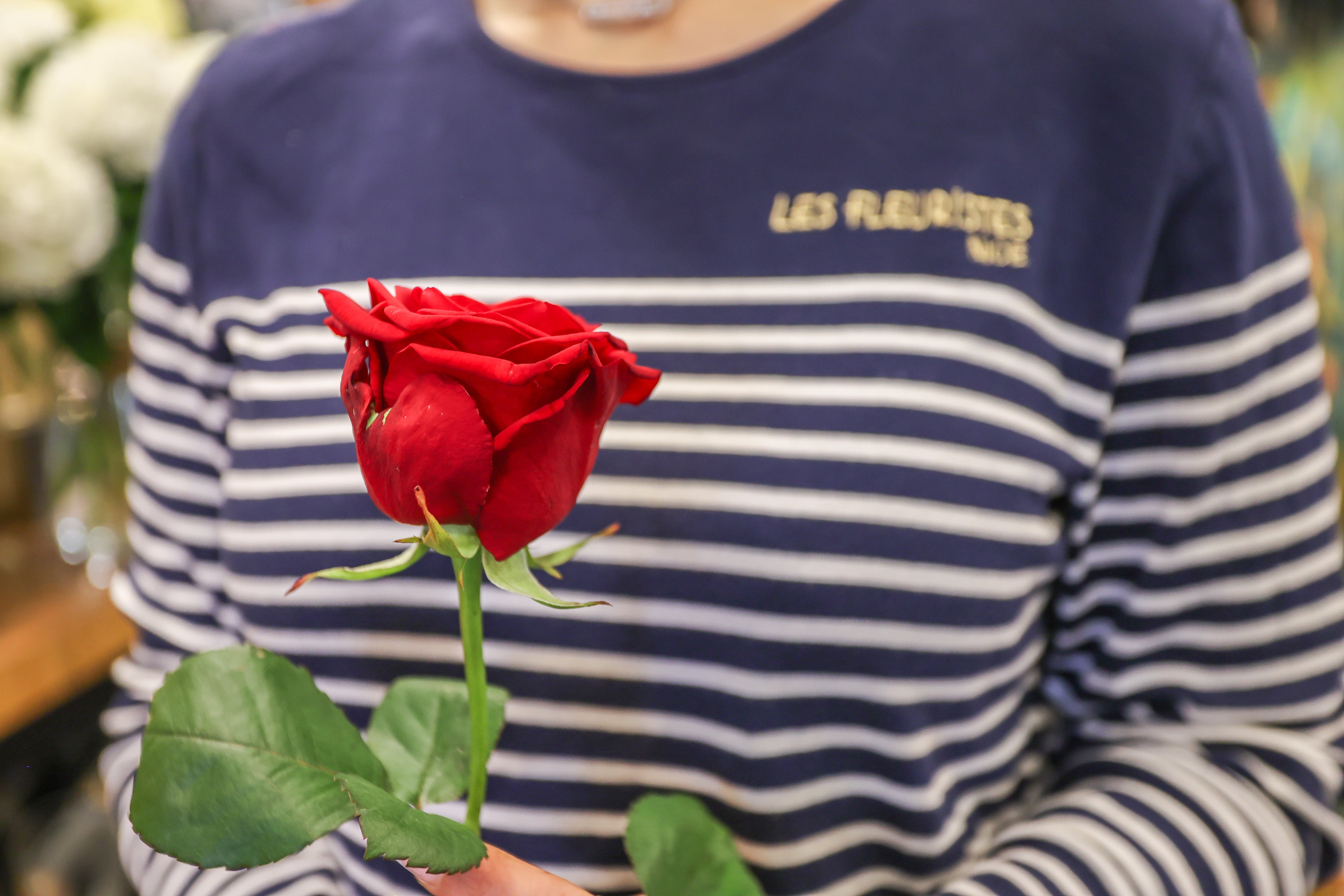 Rose Red Naomi à la tige