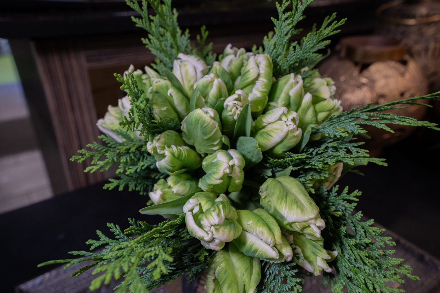 Tulipe