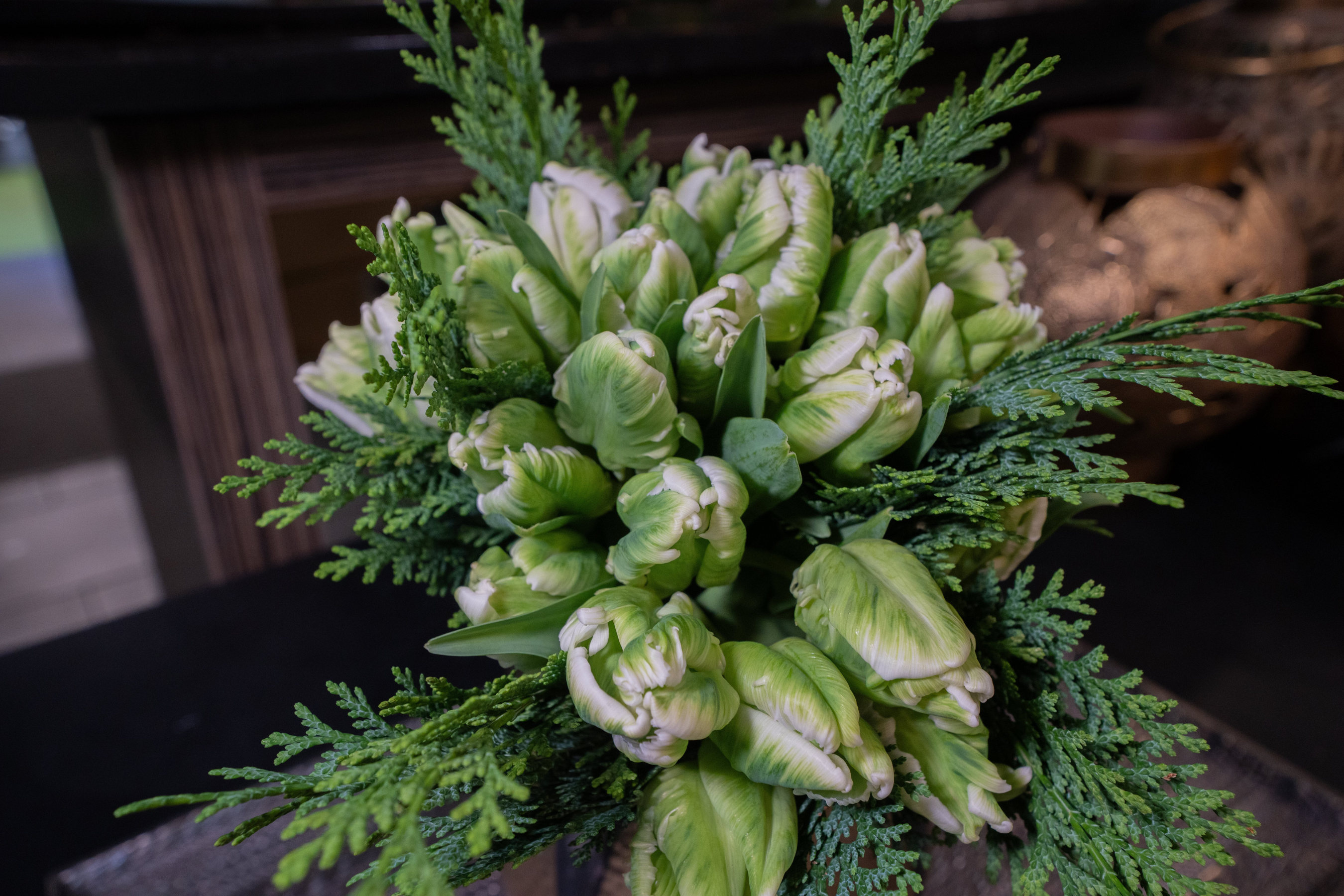 Tulipe