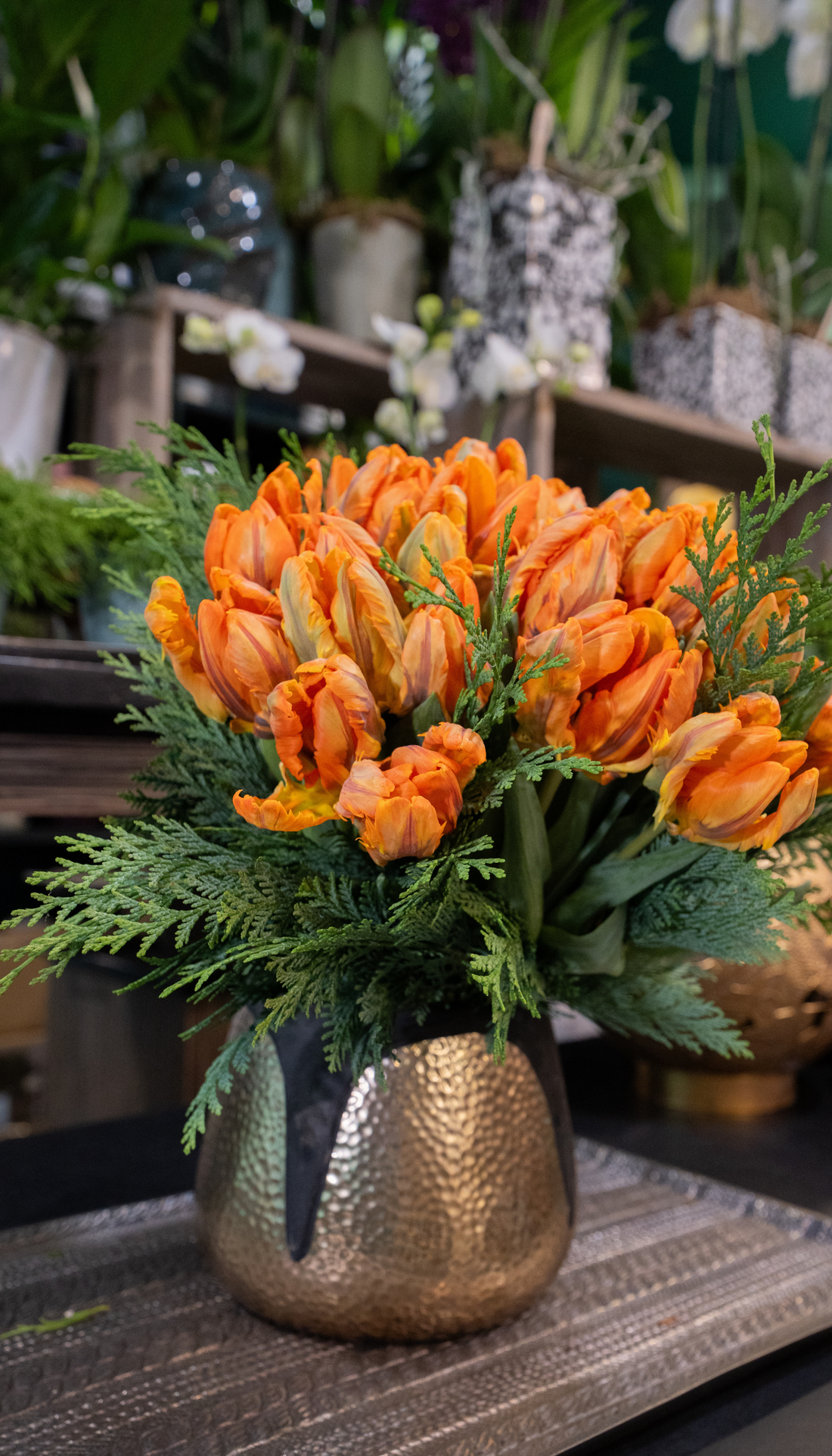 Tulipe
